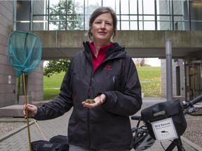 FLAP Ottawa founder Anouk Hoedeman holds a Golden-crowned Kinglet that died when it flew into the glass-enclosed walkway at the National Gallery of Canada.
