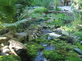 A scene from master gardener Rebecca Last's Garden.