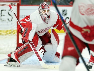 Jimmy Howard gets set in the third period.