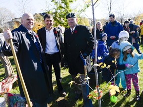 Senator Vernon White,  Lt.-Col. Markus Besemann and Maj-Gen. Lewis MacKenzie plant a maple tree on the corner of Bronson and Sunnyside avenues on Sunday.