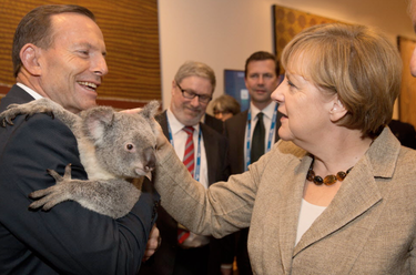 Germany's Chancellor looks more interested in talking business with Abbott — giving the koala only a cursory scruffle.
