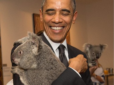 Obama cuddles Jimbelung the koala.
