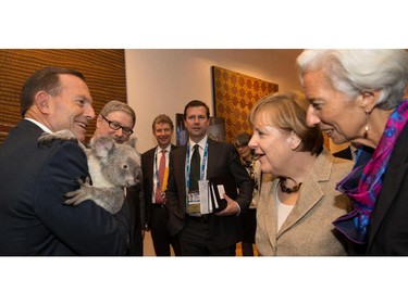 Australia's Prime Minister Tony Abbott holds Jimbelung the koala, while Germany's Chancellor Angela Merkel and IMF President Christine Legarde look on.