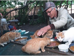 René Chartrand feeds the cats on Parliament Hill in this 1997 photo. Chartrand died Dec. 7, 2014. He was 92.