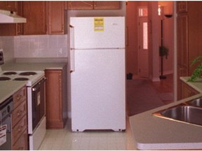 If your fridge is more than 15 years old and still working, you can get it recycled for free.