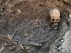 This is an undated file photo released by the University of Leicester, England, showing the remains human skeleton found underneath a car park in Leicester, England, September 2012, which has been declared "beyond reasonable doubt" to be the long lost remains of England's King Richard III, missing for 500 years.