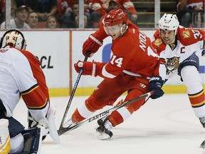 The Detroit Red Wings' Gustav Nyquist is on pace to surpass 30 goals in the 2014-15 season.