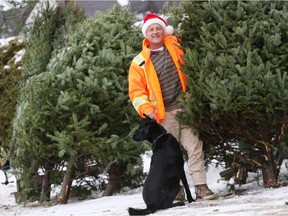 Kenny Stuyt and his dog Timmy amongst the Christmas Trees at his Fallowfield Tree Farm, December 17, 2014.  (Jean Levac/ Ottawa Citizen)