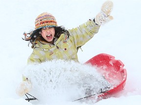 There are dozens of toboggan hills in the area. Try one out.