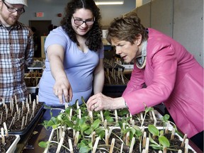 Her Excellency, Sharon Johnston, learns about the farming program from Sarah Leyton Glimcher (centre) and Christopher Bisson, on a visit to the youth homeless program, Operation Come Home, in Ottawa.