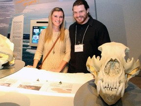 Samantha Ewart and Evan Clark examine the bear skulls on display at the opening of the new exhibit, Arctic Voices, at the Canadian Museum of Nature on Tuesday, December 9, 2014.