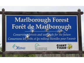 City of Ottawa
Cutline info: A spike in tree damage, littering and vandalism has prompted the city to ban target shooting in the Marlborough Forest, a huge swarth of land southwest of Richmond.

For 0110 marlborough by Matthew Pearson