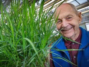 Gerry Mulligan is the fifth or sixth generation from his family to work on the Experimental Farm. It was the family's land, and they kept at it when it was expropriated for agricultural research in the late 1800s.