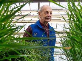 Dr Gerry Mulligan, seen here with some weeds he's growing in his research greenhouse at the Experimental Farm, is the fifth or sixth generation from his family who has worked on the farm.