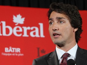 Liberal Leader Justin Trudeau speaks to the media at the Liberal Party of Canada's National Winter Caucus meetings in London, Ont., on Tuesday January 20, 2015.