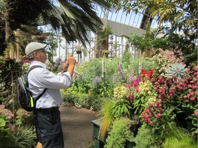 David Hartnoll, gardening columnist Mark Cullen's friend,  takes in the greenhouse of the Auckland Botanical Garden.