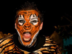 Trenton Poulin was Shere Khan, the tiger, in All Saints Catholic High School's  production of The Jungle Book.
