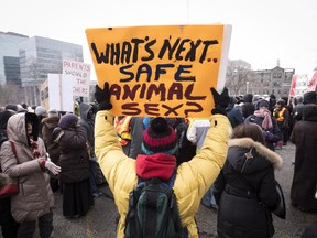 Queen's Park protest against Ontario's new sex education curriculum.