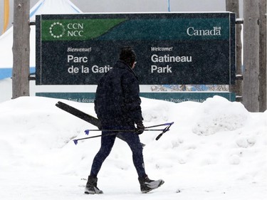 A skier heads toward the starting line prior to the Gatineau Loppet in Gatineau, Saturday, February 14, 2015. Competitors braved falling snow plus bone-chilling temperatures to participate in today's event, which started at 9am.