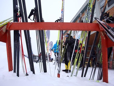 A skier prepares for the start of the Gatineau Loppet in Gatineau, Saturday, February 14, 2015. Competitors braved falling snow plus bone-chilling temperatures to participate in today's event, which started at 9am.