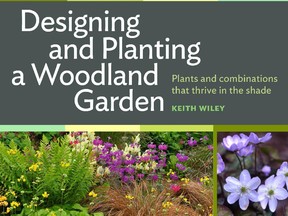 Designing and Planting Woodland Garden  Photo courtesy Thomas Allen - Son