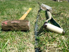 The black sump pump drain line is set just below the grass surface. In time the pipe will disappear completely.