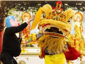 Thanh Du, in mask, dances with a lion controlled by Happy Tran and Quang Le as they show off the ceremonial lion dance at the Pho Da Buddhist Temple in preparation for Chinese New Year celebrations at midnight in Ottawa Wednesday February 18, 2015. (Darren Brown/Ottawa Citizen)
