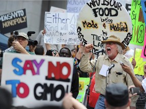 David King, founder and chairman of the Seed Library of Los Angeles, speaks to activists during a protest against agribusiness giant Monsanto in Los Angeles on May 25, 2013. Marches and rallies against Monsanto and genetically modified organisms (GMO) food and seeds were held across the US and in other countries with protestors calling attention to the dangers posed by GMO food.