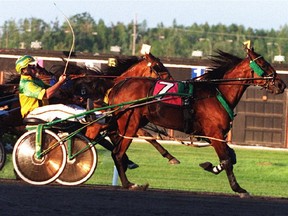 Canada will host  2017 World Trotting Conference and World Driving Championship.