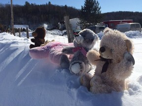 Stuffed animals are placed at the side of the long laneway south of Gracefield, Que., where Matthew, 4, and Melanie Courtney, 2, were killed in a house fire as they napped on the afternoon of Feb. 26,