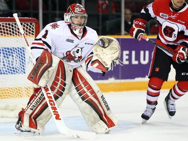 Brandon Hope of the Niagara IceDogs during first period OHL action.