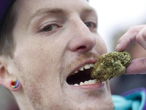 Chris Tingman takes a bite out of his 6 gram piece of marijuana while on Parliament Hill in Ottawa, April 20, 2013.