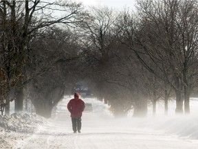 Steve Hopwood walks through blowing snow in the Experimental Farm