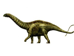New research suggests you can call this beast the 'brontosaurus' again.
