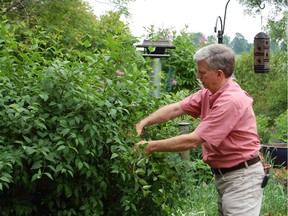 Mark Cullen shares tips to help gardeners cut down on their weeding and watering.