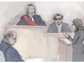 Benjamin Levin appears before Justice Heather McArthur while forensic psychiatrist Julian Gojer is cross-examined by Crown co-counsel Patricia Garcia during a sentencing hearing in Toronto, Monday, April13, 2015.
