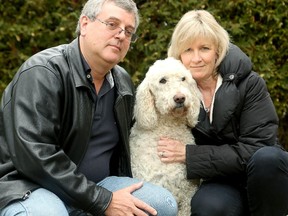 Rob and Laura Rennie lost their dog,  Holly, in December and have been looking for her desperately ever since.