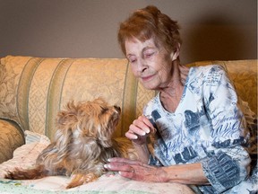 Rollande Ondrovic sits with Maxie, her pet Yorkie, mourning the loss of her 11-year-old shih tzu, Suzie, which was apparently snatched from the backyard and killed by a coyote.