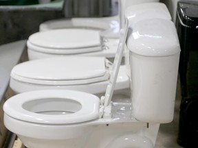 A row of toilets.