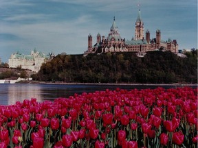 for story on Library and Archives Canada acquiring the Malak Karsh collection of 200,000 images....0228 Malak
Tulips and Parliament Hill, during Canadian Tulip Festival, Ottawa, 2000.