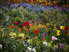 Early-summer gardens are at their peak in June.