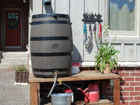 Columnist Mark Cullen uses rain-barrel water on all of his container plants. Plants love rain water because it is warm and charged with oxygen.