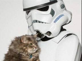 A Stormtrooper "cuddles" at cat from the Ottawa Humane Society in celebration of the Star Wars-themed May the 4th.