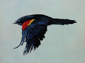 Alison Fowler's red-winged blackbird, from the fundraiser and art sale Migration at Gezellig restaurant in Westboro on May 11.