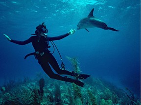 This undated image released by Netflix shows Dr. Sylvia Earle in a scene from the Netflix documentary "Mission Blue." Directed by Fisher Stevens and Robert Nixon, the film profiles oceanographer Sylvia Earle and her effort to help protect the world's seas.