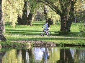 A cyclist rides on a path in the Arboretum.