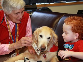 CHEO's volunteer of the year Ann Lambert and her therapy dog, Chara, visit CHEO patient Thomas Parent, age 2.