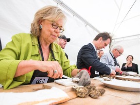 Elizabeth May, Leader of the Green Party, shucks some oysters with other politicians on Sparks St Mall, June 2015.
