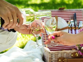 Whether it's a summer picnic or simply enjoying a backyard get together with friends, these summertime wines are sure to be a hit.