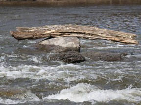 Low water levels on the Jock River and other waterways are exposing hazards such as rocks and submerged trees.